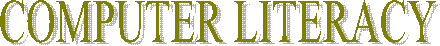 COMPUTER SKILLS
